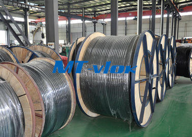 ASTM A269 TP316 / 316L Welded Multi - Core Coiled Stainless Tubing Bright Annealed