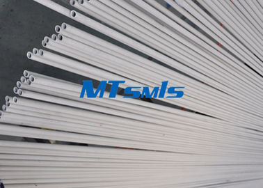 ASTM A249 TP316L / 1.4404 Straight Stainless Steel Welded tubing With ERW / EFW